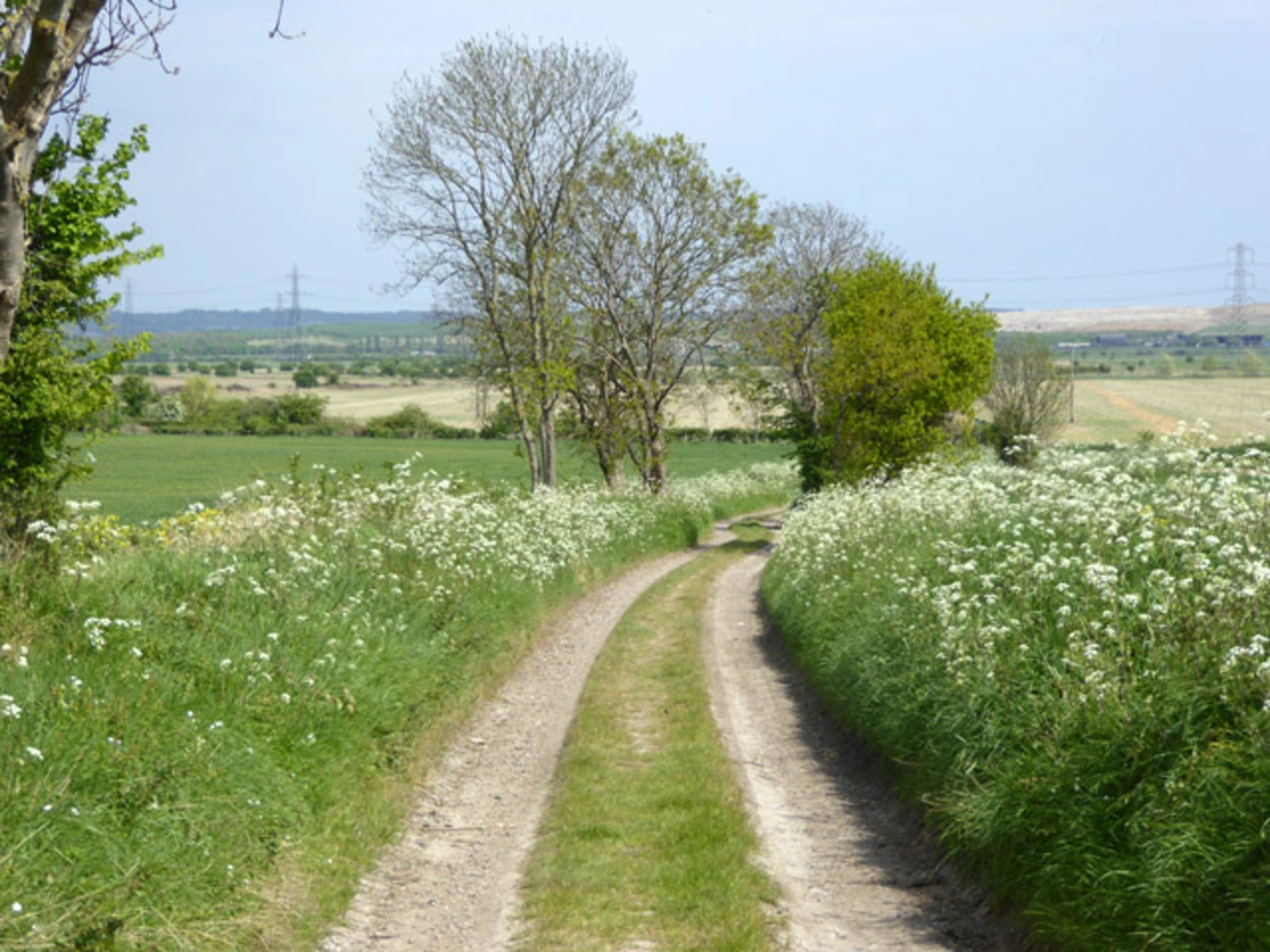 An image depicting the trail Belchamp St Paul Loop and its surrounding area.