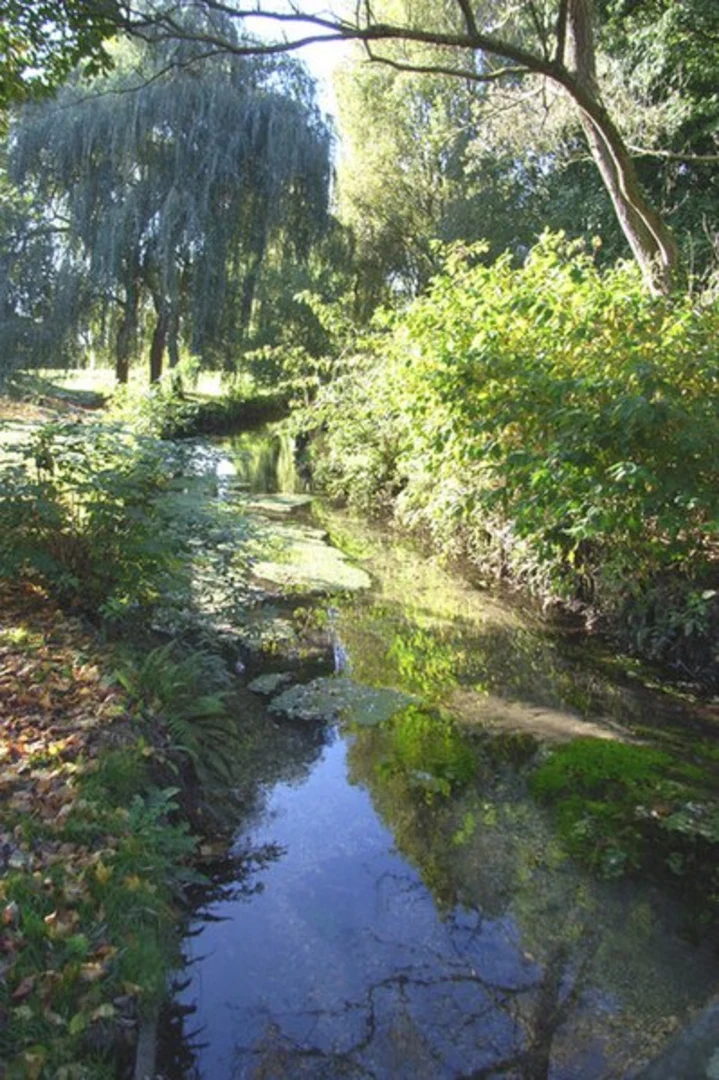An image depicting the trail South View Cemetery and Eastrop Park Loop and its surrounding area.