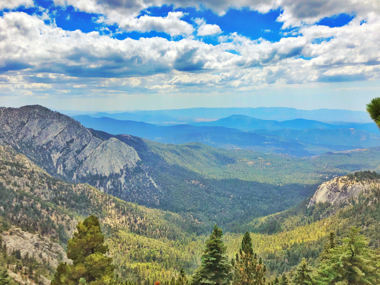 An image depicting the trail Marion Mountain to San Jacinto Peak and its surrounding area.