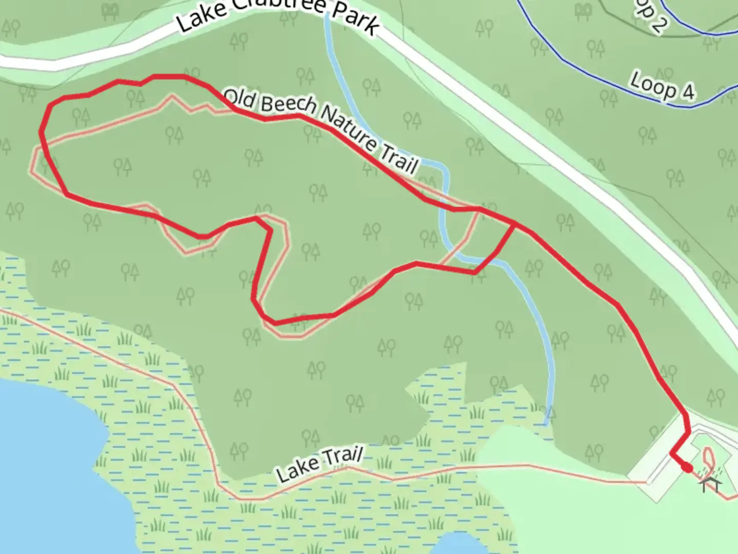 An image depicting the trail Old Beech Nature Loop Trail and its surrounding area.