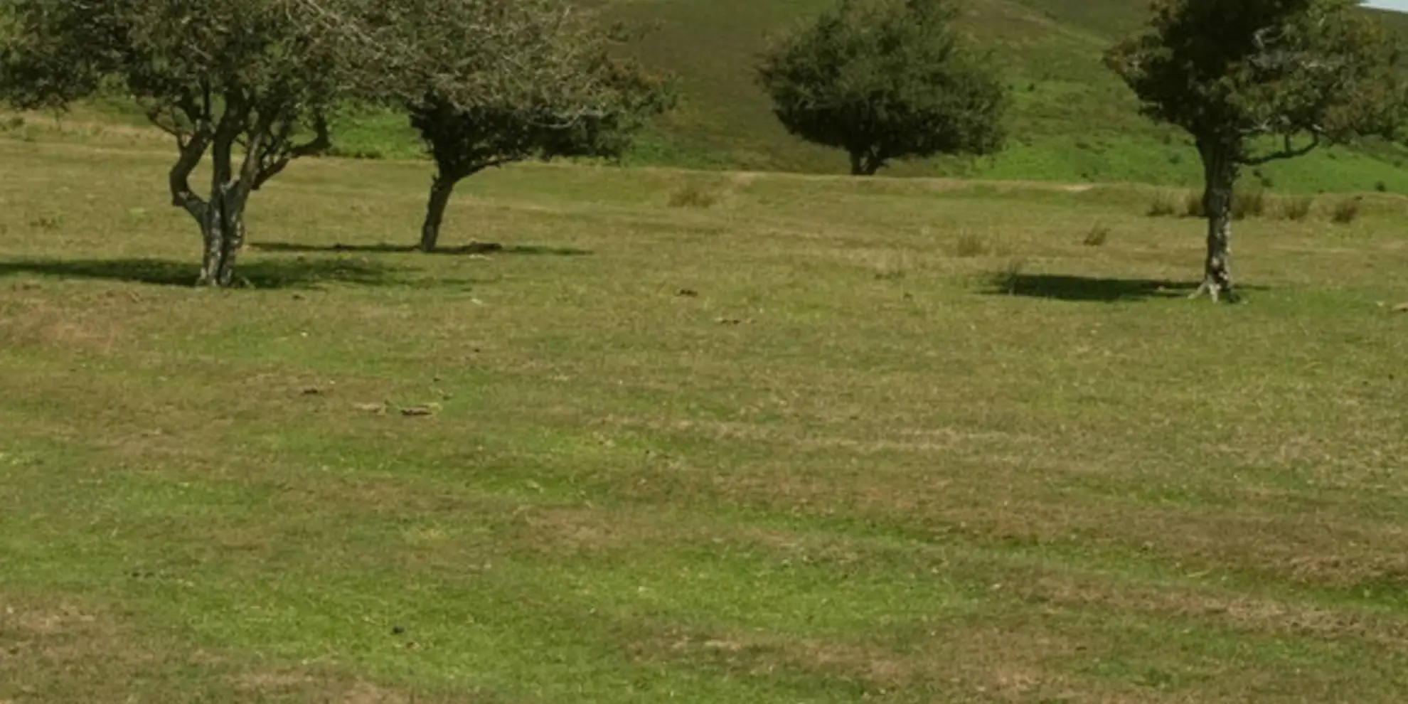 An image depicting the trail Weacombe Combe - Bicknoller Post - Kilve and Longstone Hill and its surrounding area.