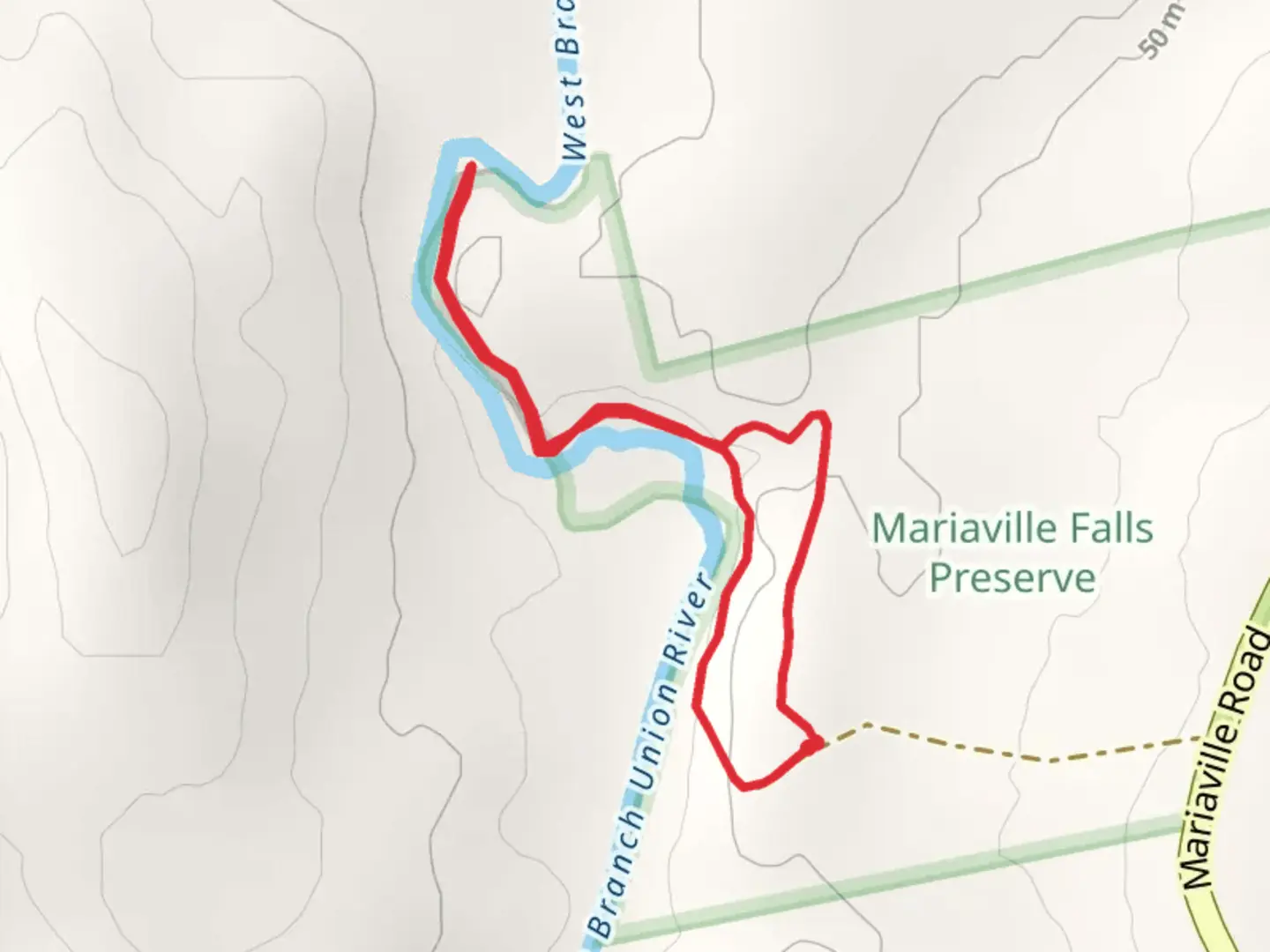 An image depicting the trail West Branch Union River Loop and its surrounding area.