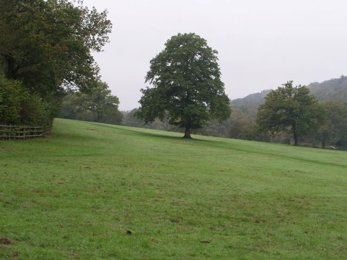 An image depicting the trail Banstead Wood and Ruffett Wood Loop - Chipstead and its surrounding area.