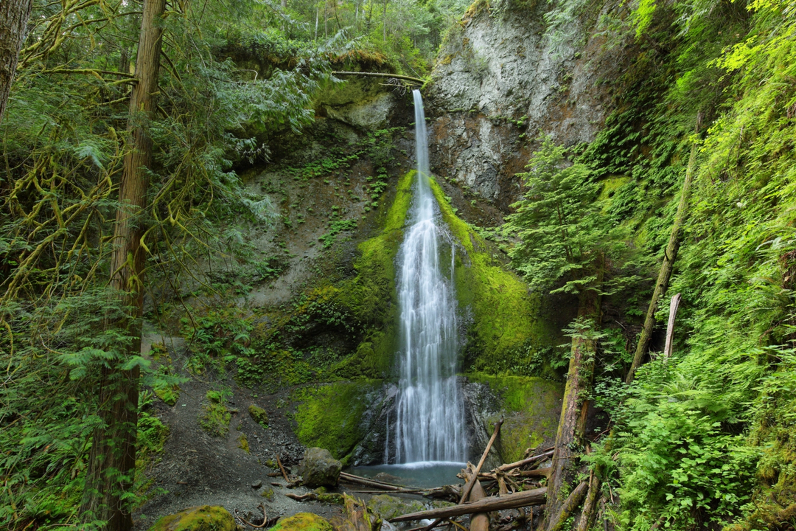 An image depicting the trail Aurora Divide via Marymere Falls Nature Trail and its surrounding area.