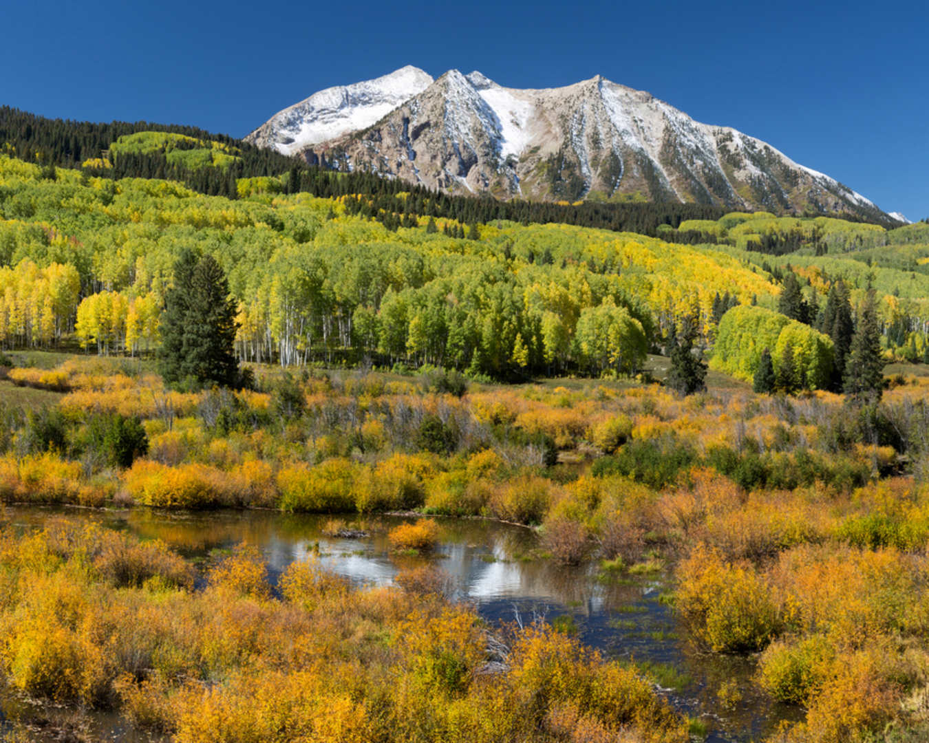 An image depicting the trail Cliff Creek Trail and its surrounding area.