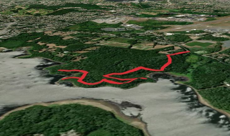 J C Phillips Nature Preserve Trail