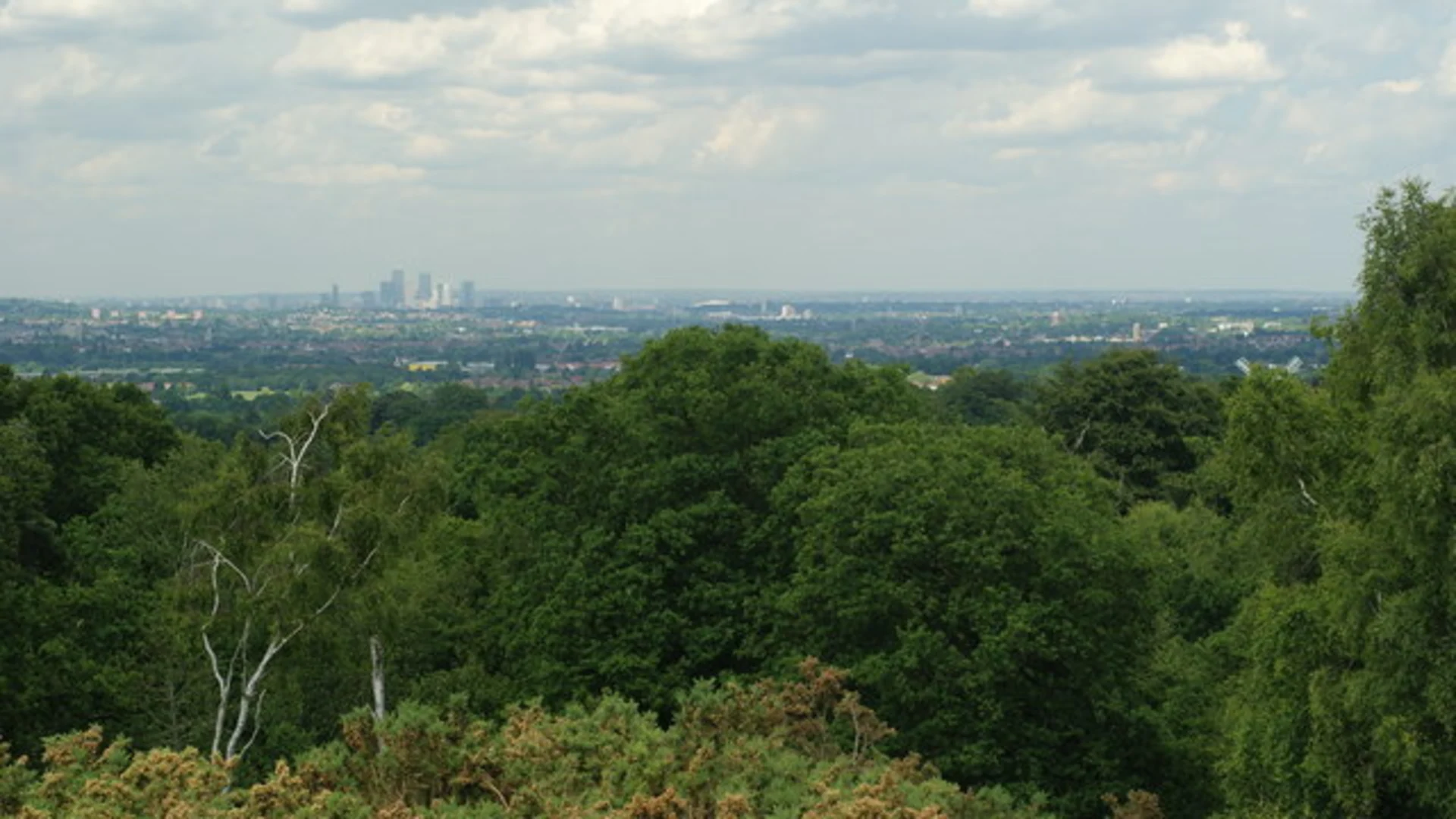 An image depicting the trail Addington Hills and its surrounding area.