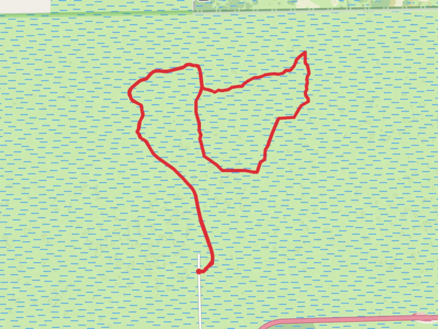 An image depicting the trail Big Cypress National Area and its surrounding area.