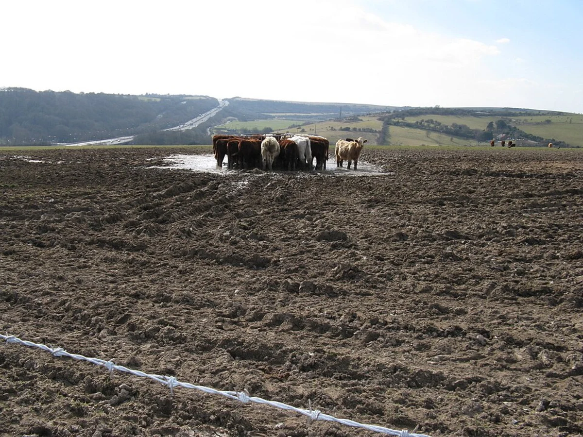 Patcham and Lower Standean Loop
