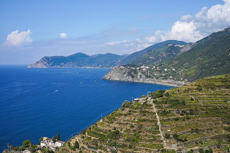 An image depicting the trail Cinque Terre National Park and its surrounding area.