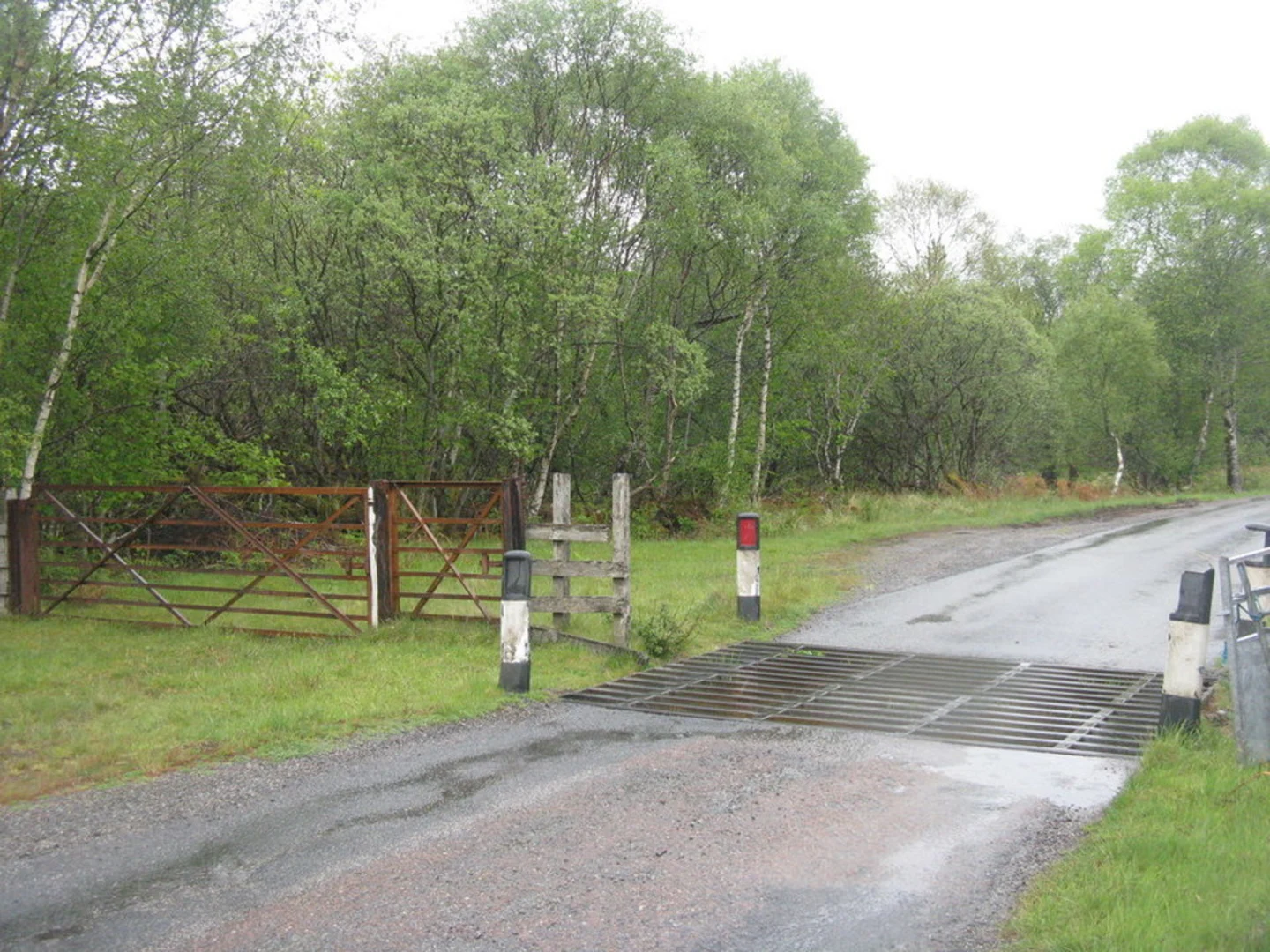 An image depicting the trail Cill An Ailean Loop Trail and its surrounding area.
