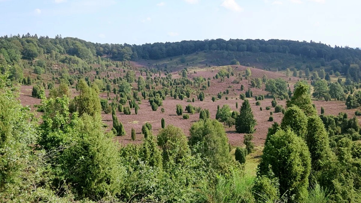 Wilseder Berg, Totengrund and Heide Erlebnis Zentrum Loop