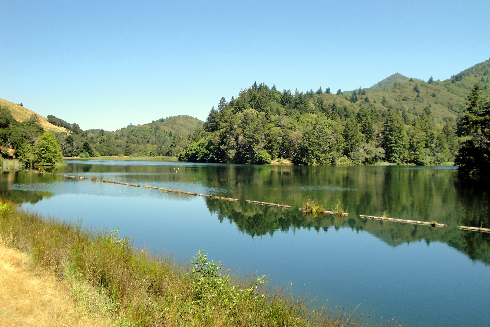 An image depicting the trail Lake Lagunitas Loop and its surrounding area.