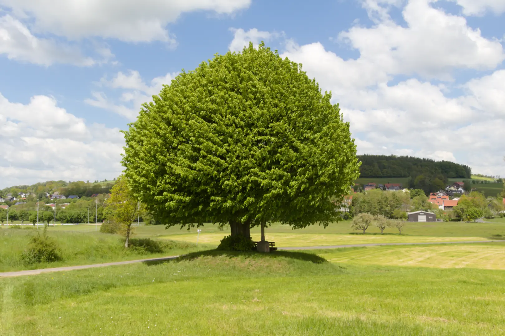 An image depicting the trail Fuldaer Rundwanderweg and Eichenzell and its surrounding area.