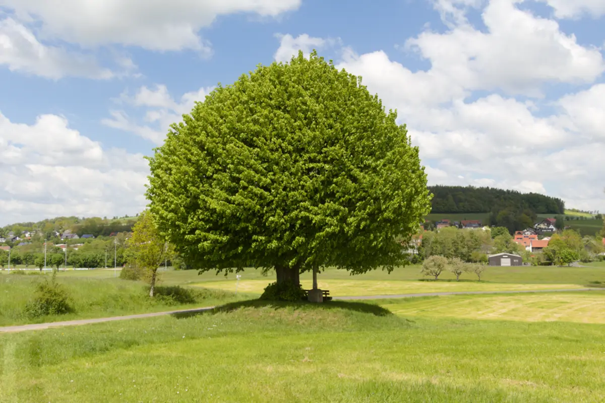 Fuldaer Rundwanderweg and Eichenzell