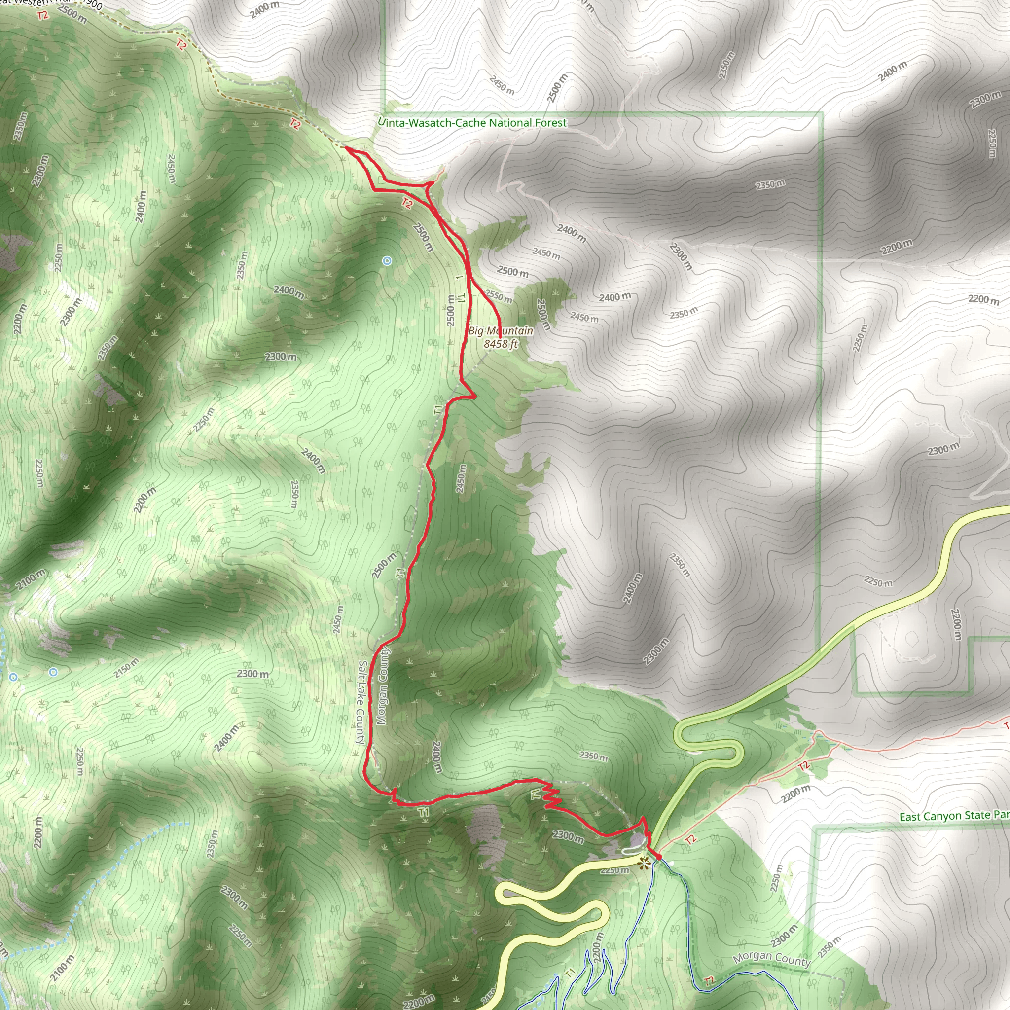 Big Mountain Summit Trail mobile static map