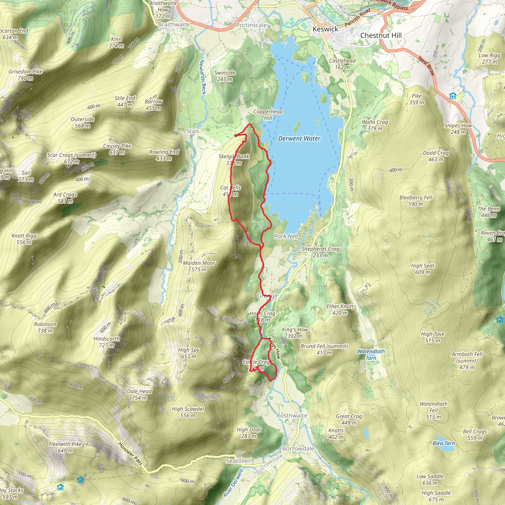 Catbells, Castle Crag Hill Fort, High Hows Wood and Manesty Park Loop mobile static map