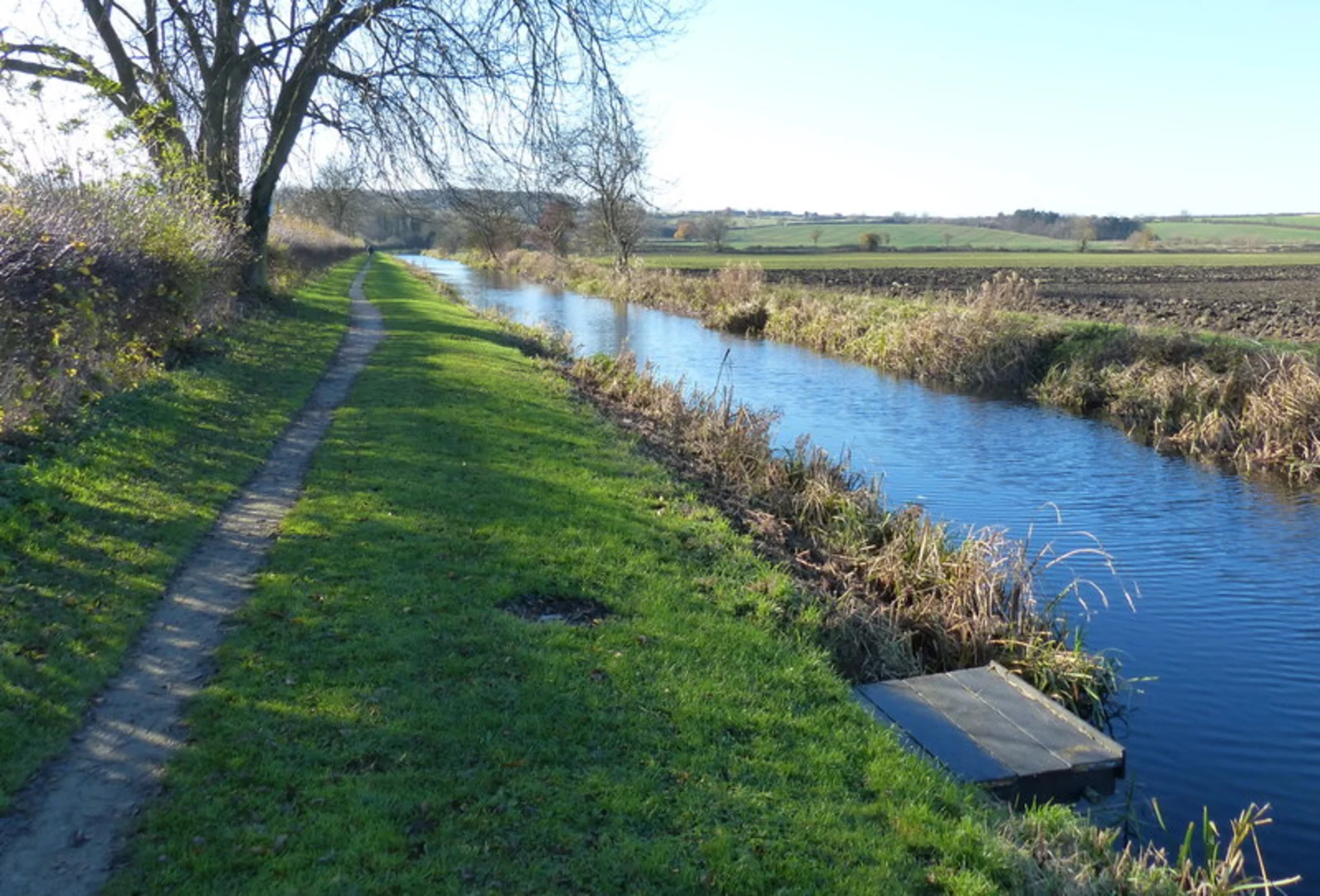 An image depicting the trail Cotgrave Country Park and Heron Lake Loop and its surrounding area.