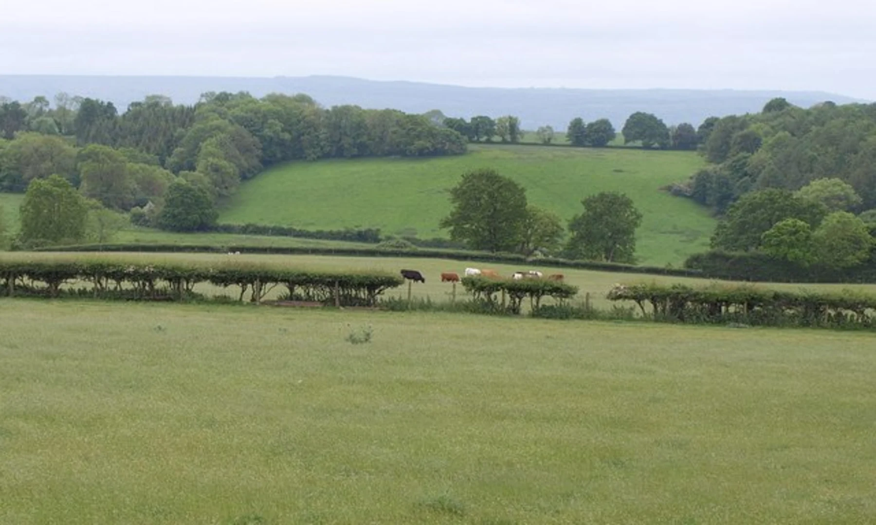 An image depicting the trail Cleeve Toot and King's Wood Loop and its surrounding area.