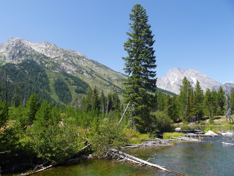 An image depicting the trail Paintbrush Canyon - Cascade Canyon Loop Trail and its surrounding area.