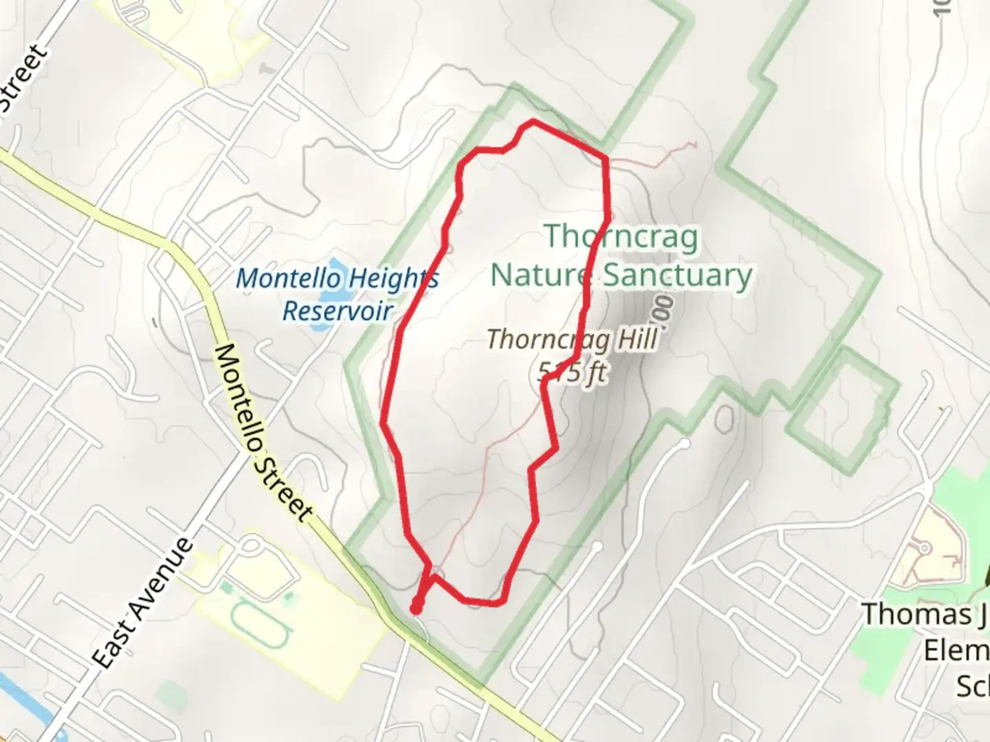 An image depicting the trail Thorncrag Hill Loop Trail and its surrounding area.