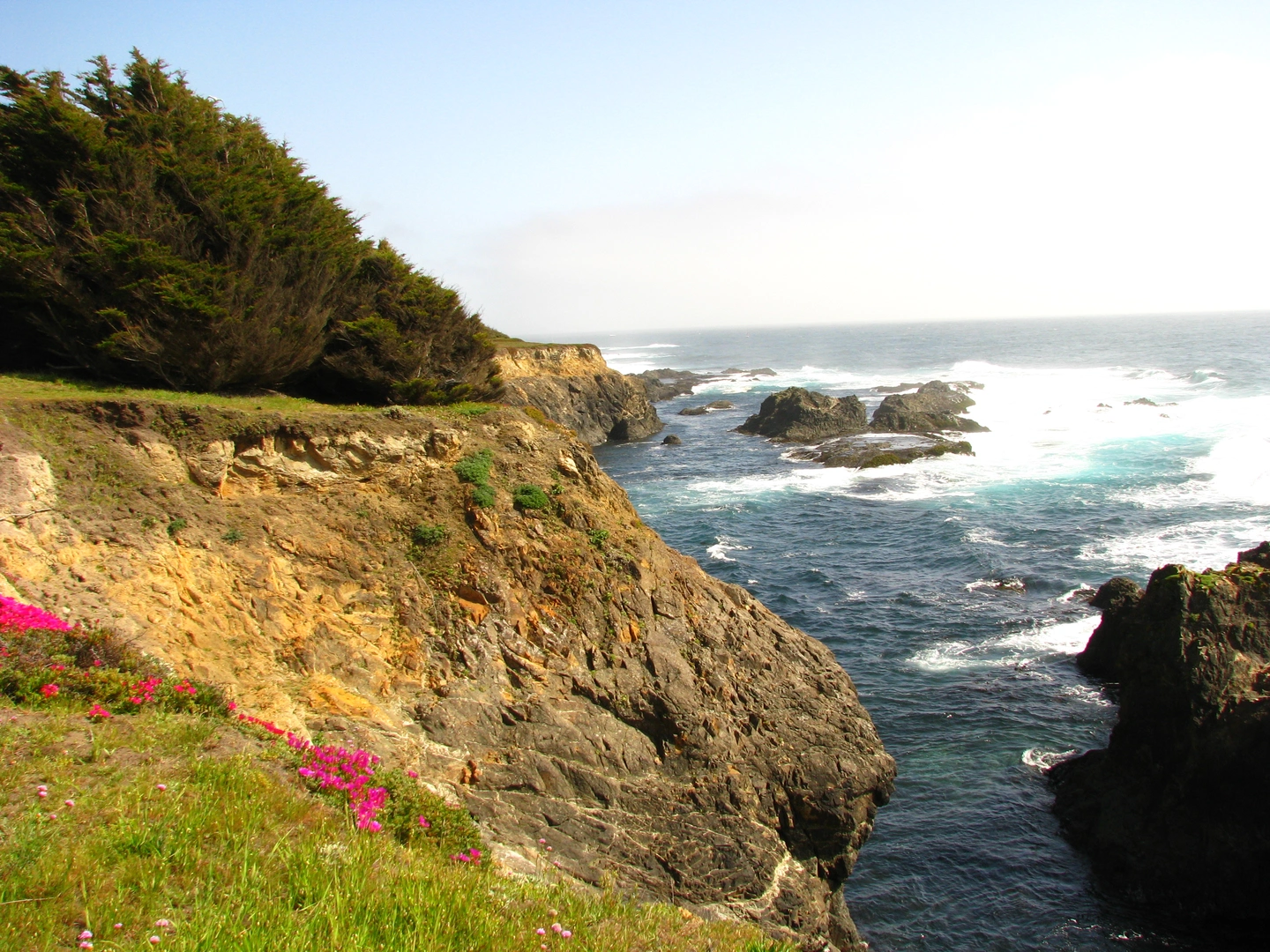 An image depicting the trail Peterson Trail, Spring Ranch Trail and Chapman Trail and its surrounding area.