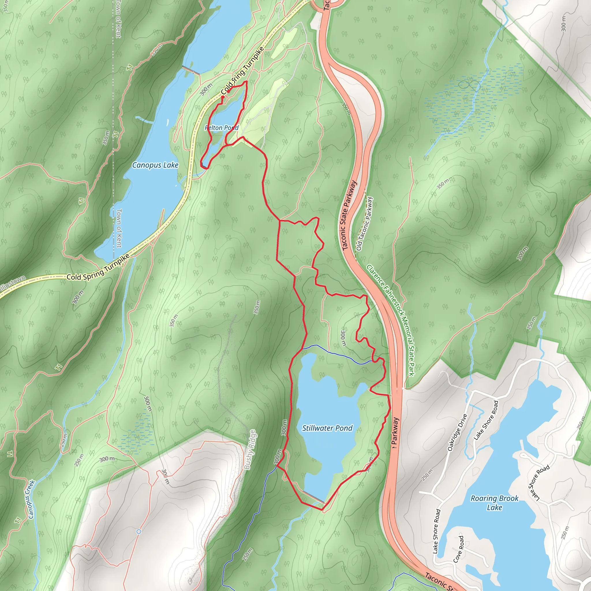 Pelton and Stillwater Pond Loop Trail mobile static map