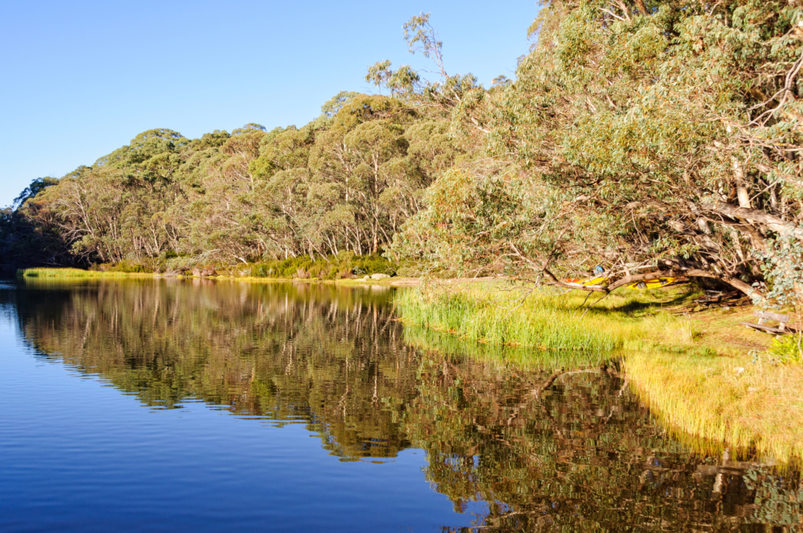An image depicting the trail Underground River Track and its surrounding area.
