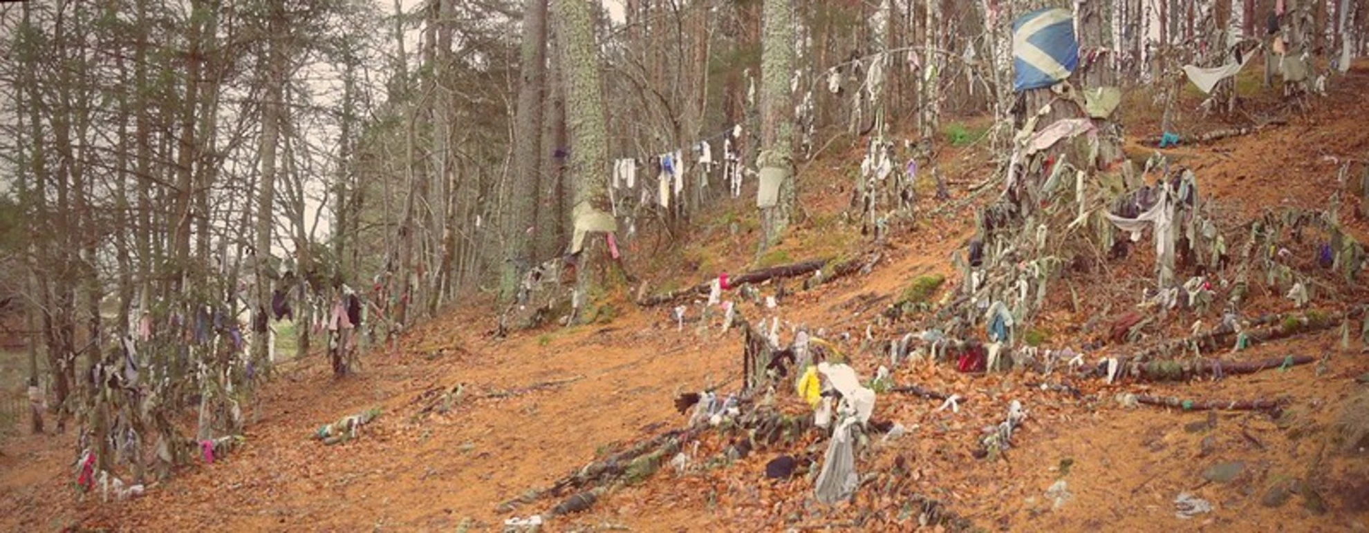 An image depicting the trail Clootie Well Trail and its surrounding area.