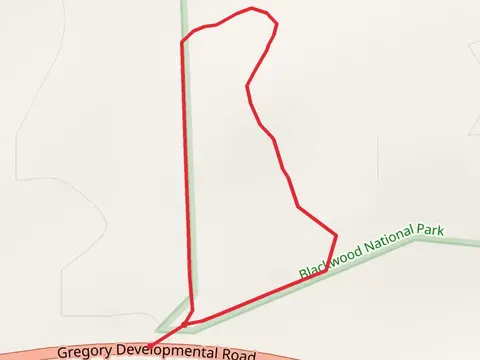 Brigalow Circuit Track