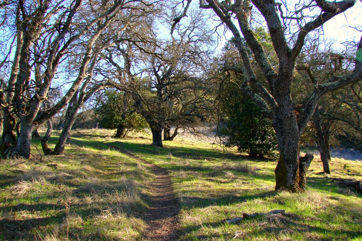 Virl O Norton, Deep Gulch and Capehorn Pass Loop Trail