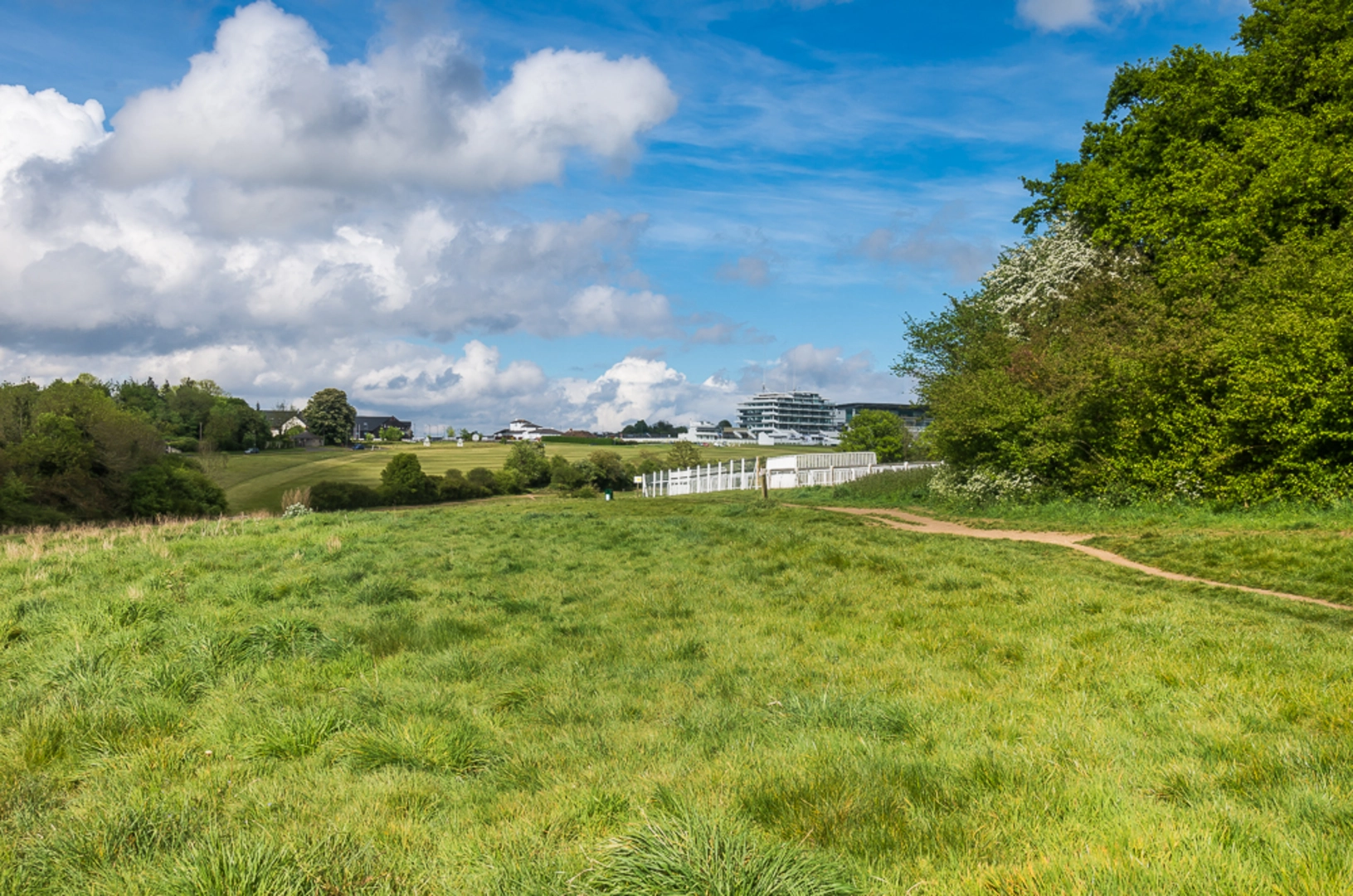 An image depicting the trail Epsom Downs and its surrounding area.