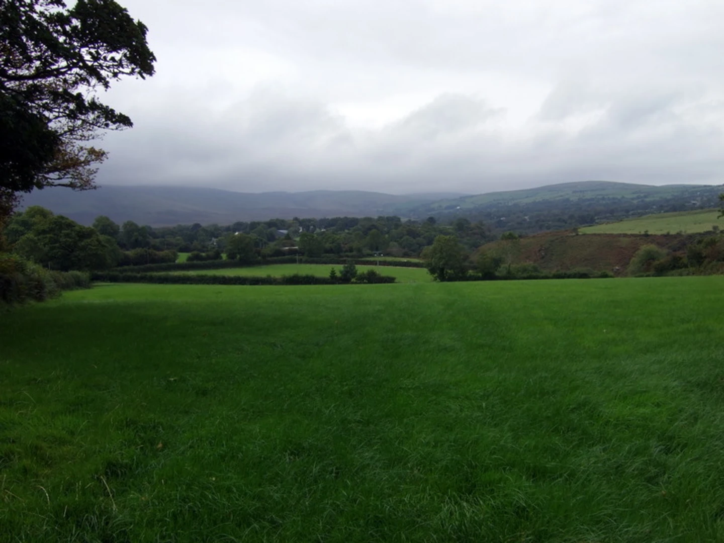 An image depicting the trail Brynberian Walk and its surrounding area.