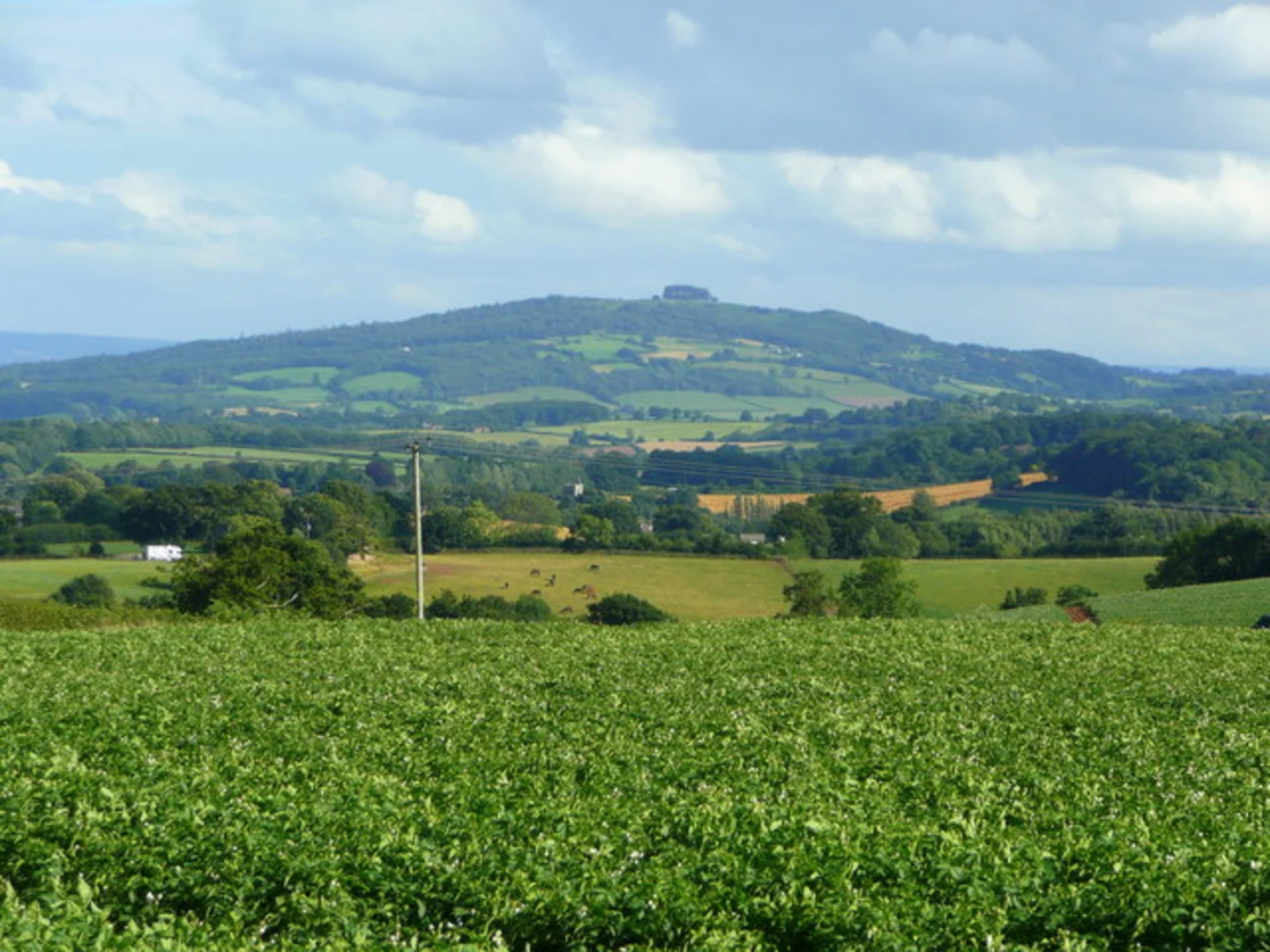 An image depicting the trail May Hill to Gloucester Walk and its surrounding area.