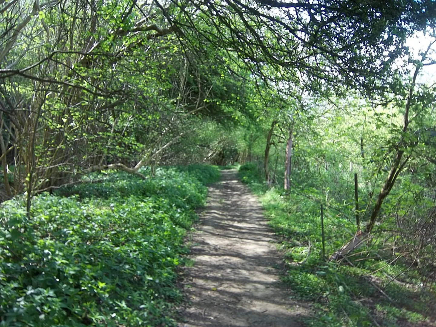 An image depicting the trail Broadway Coppice and Broadway Tower Country Park via Cotswold Way and its surrounding area.