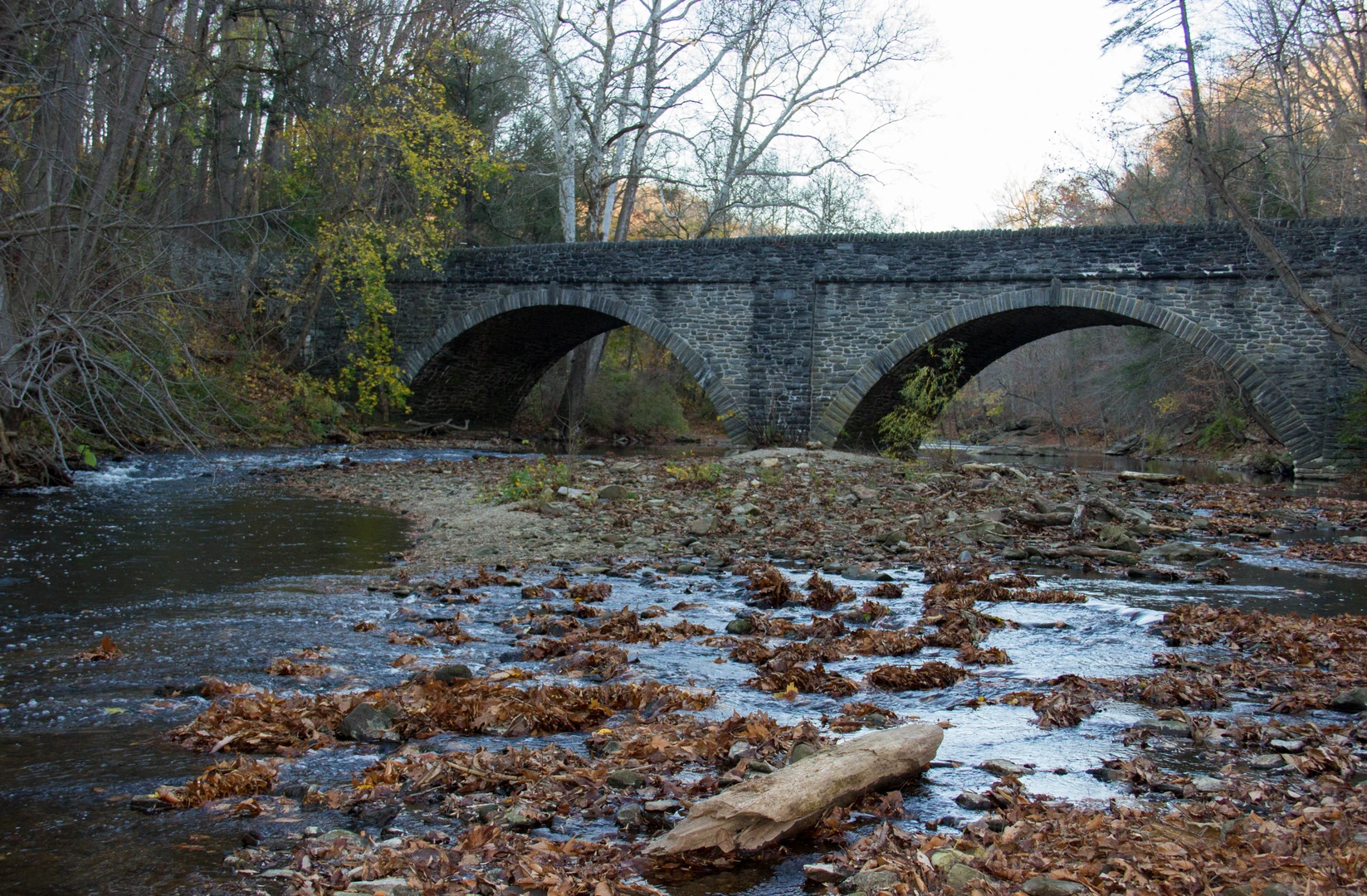 An image depicting the trail Wissahickon Creek Salvatore Pachella Memorial Field Loop and its surrounding area.