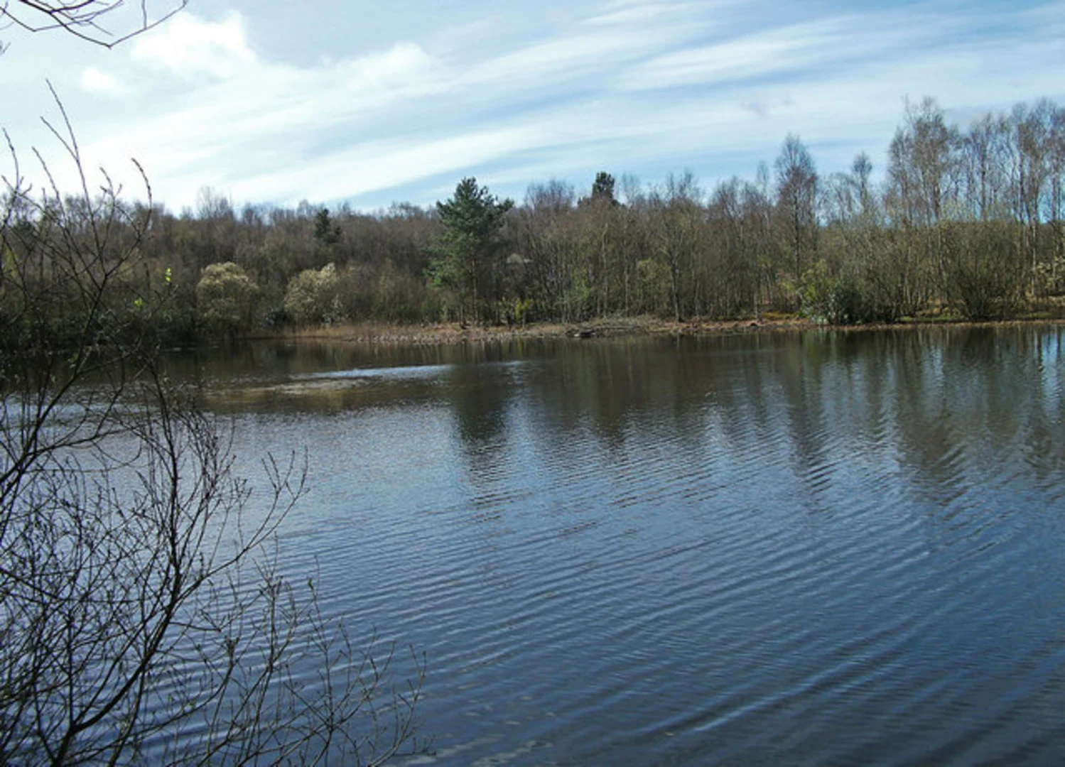 An image depicting the trail Mere Sands Wood Loop and its surrounding area.