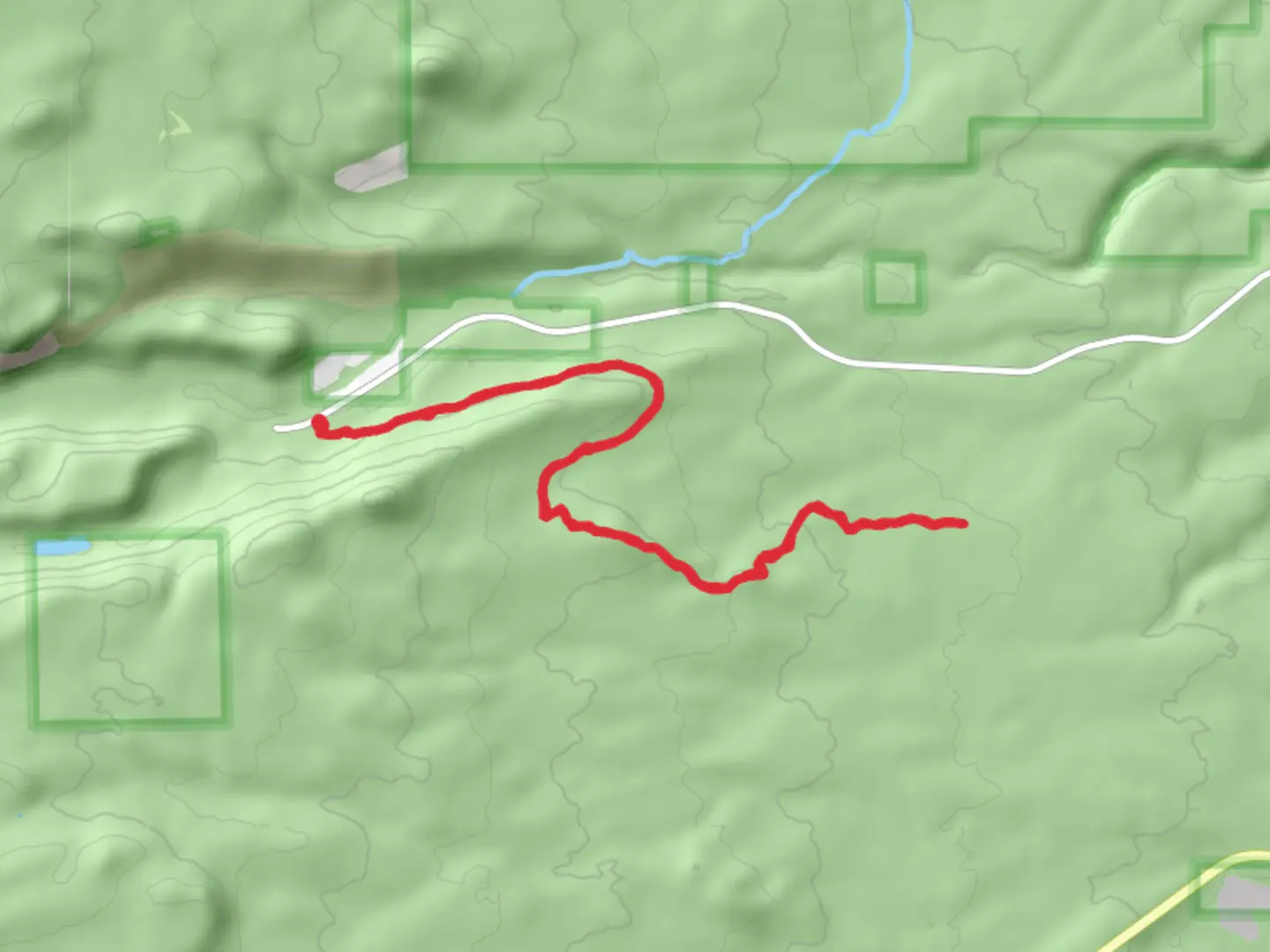 An image depicting the trail Phil's Trail from Skyliners Road and its surrounding area.