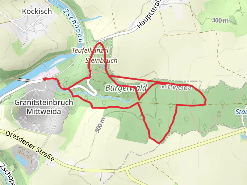 Burgerwald, Silbersee and Steinbruch Loop via Burgerwaldrundweg