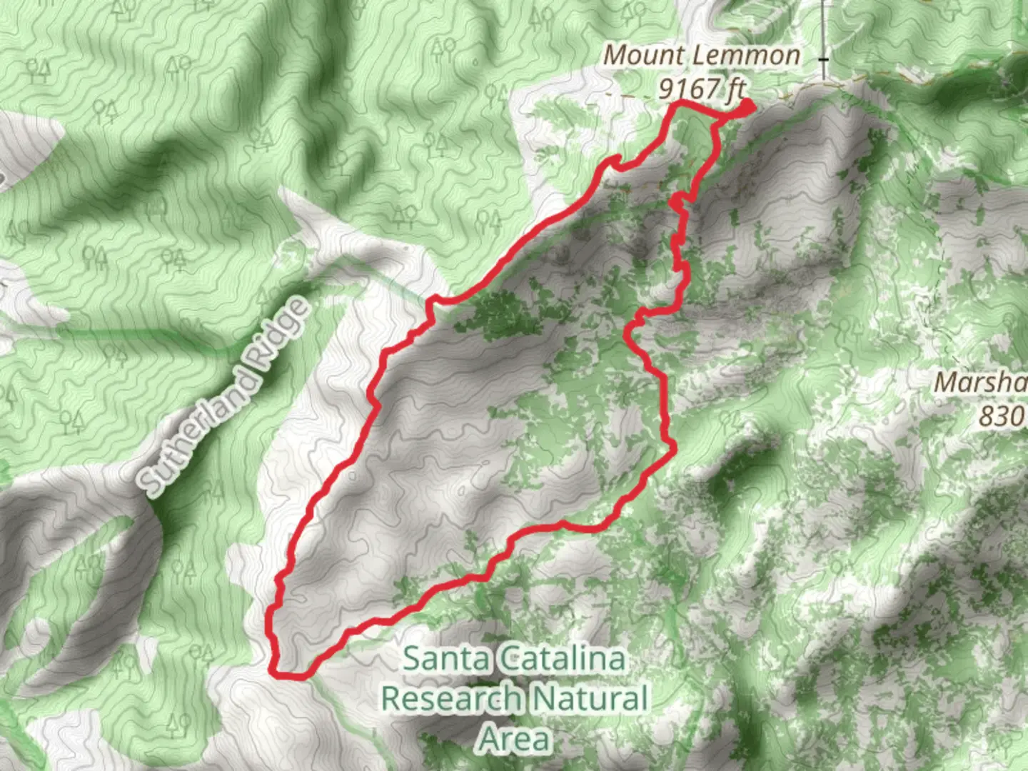 An image depicting the trail Lemmon Creek and Mount Lemmon Trail Loop and its surrounding area.