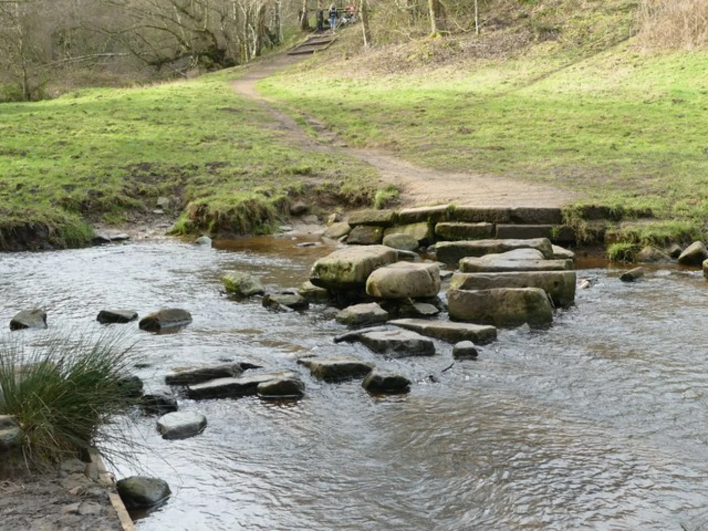 An image depicting the trail Wyming Brook Walk and its surrounding area.