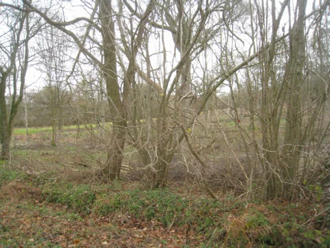 East Oakley to Hannington Loop