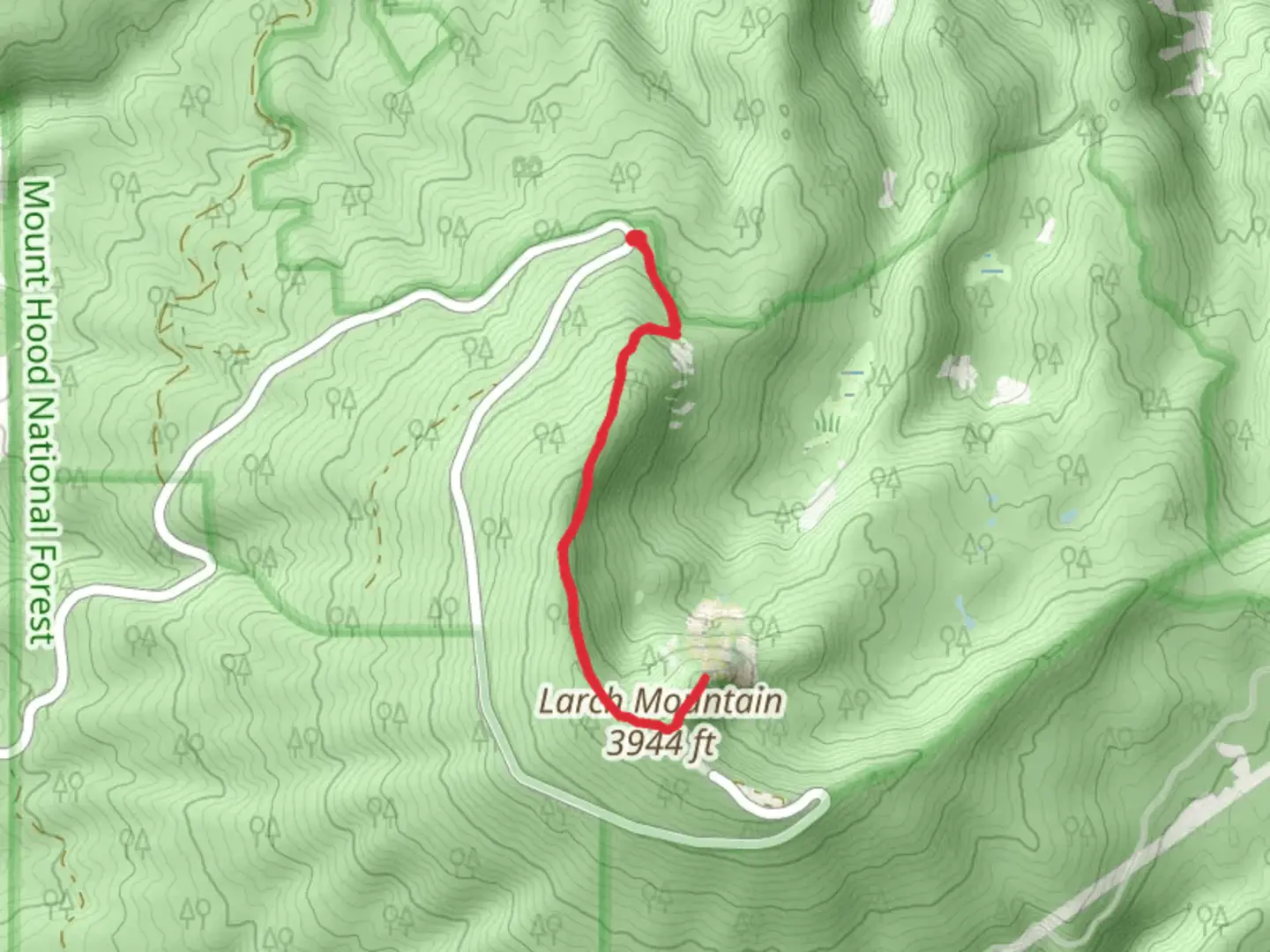 An image depicting the trail Larch Mountain Trail Out and Back and its surrounding area.