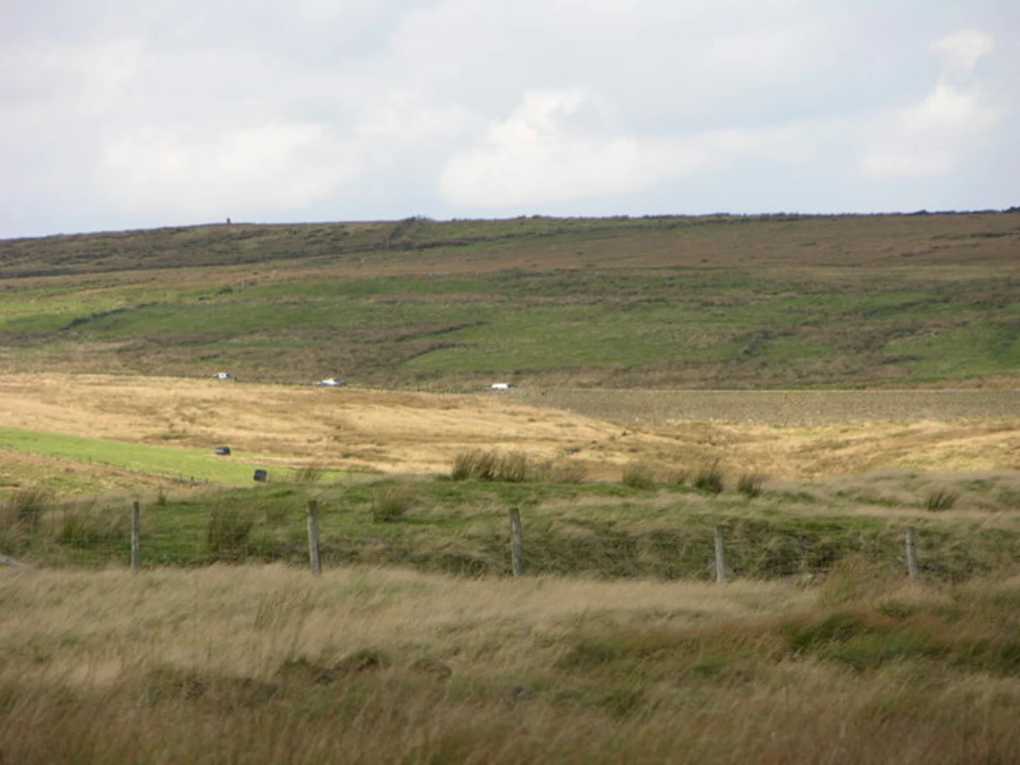 An image depicting the trail Burnt Hill and Musbury Park Moor Loop and its surrounding area.