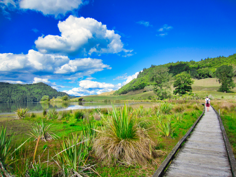Lake Okareka Walkway
