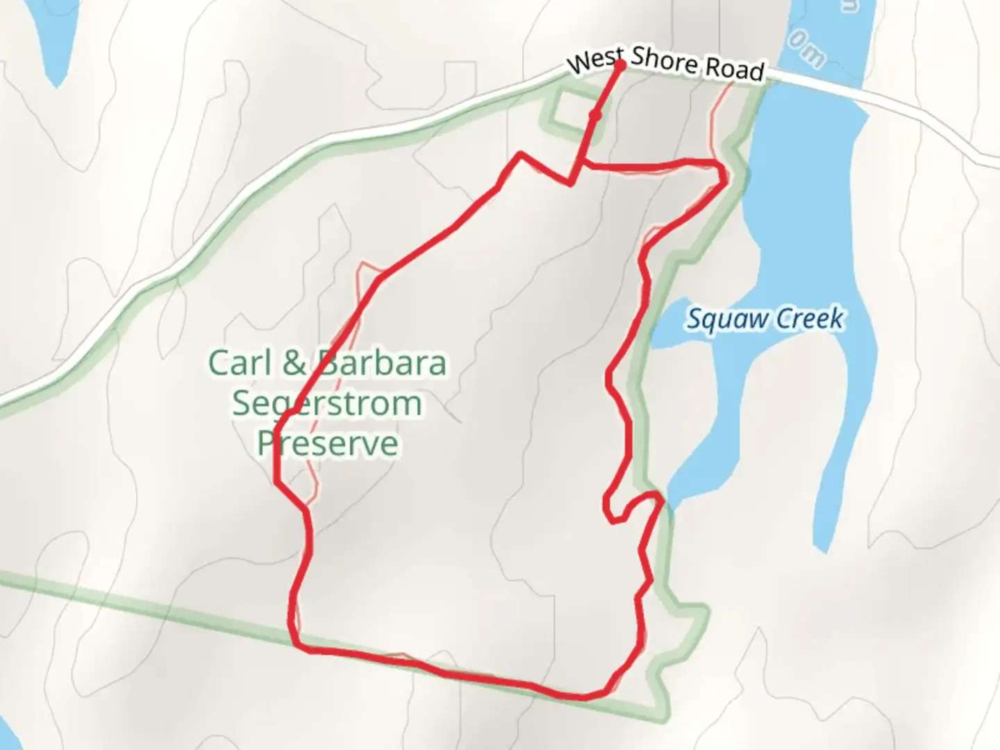 An image depicting the trail Squaw Creek from West Shore Road and its surrounding area.