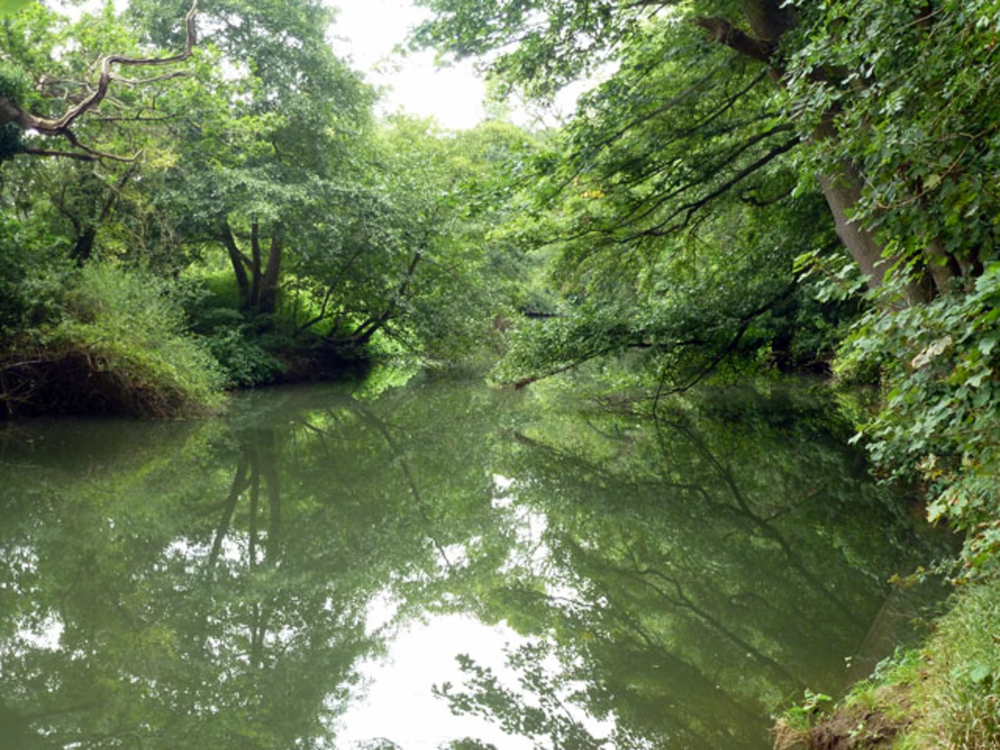 An image depicting the trail West End Common Walk and its surrounding area.