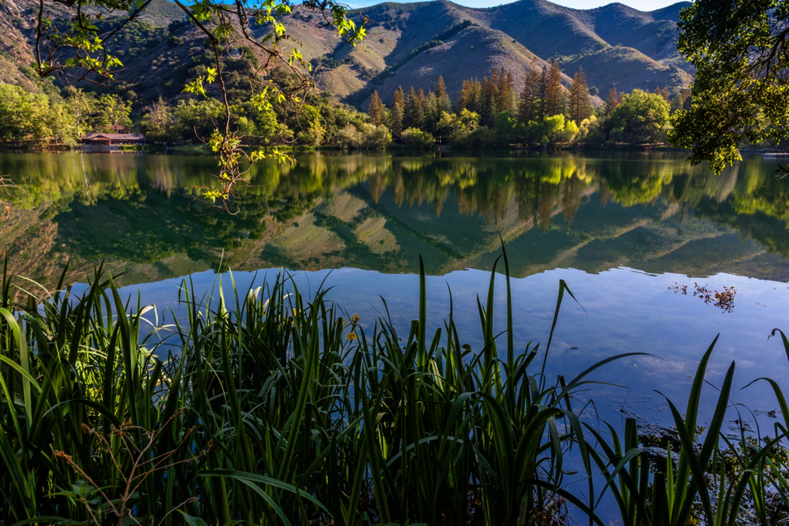An image depicting the trail Zaca Peak Trail and its surrounding area.