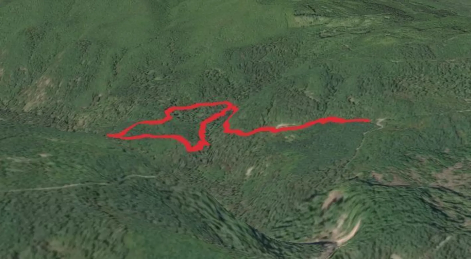 An image depicting the trail Cat Creek Loop Trail and its surrounding area.