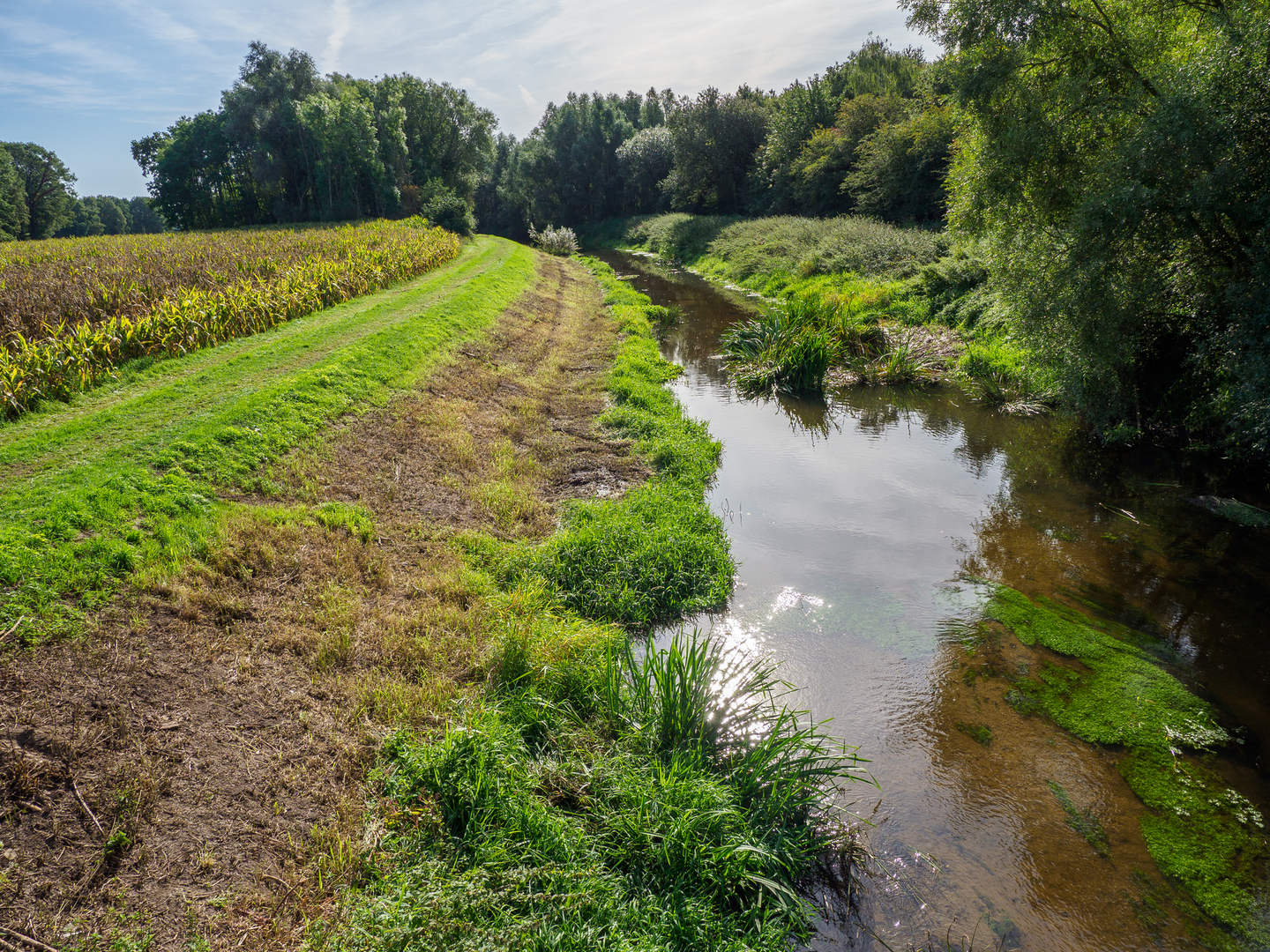 An image depicting the trail Oelemars via Hoofdstraat and its surrounding area.